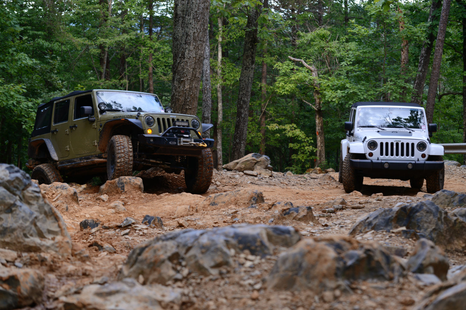 Because of Two Jeeps